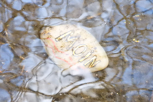 Ortsgruppe Wedel Ortsgruppe Wedel